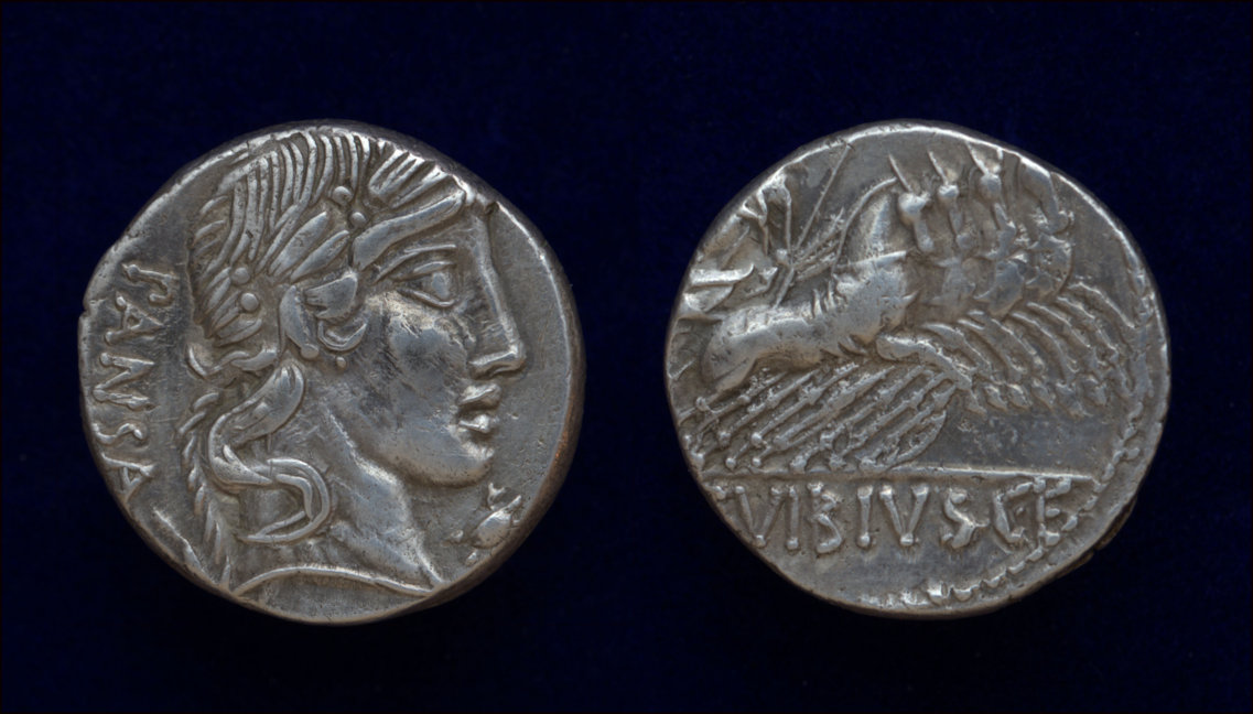 V Pansa denarius.jpg