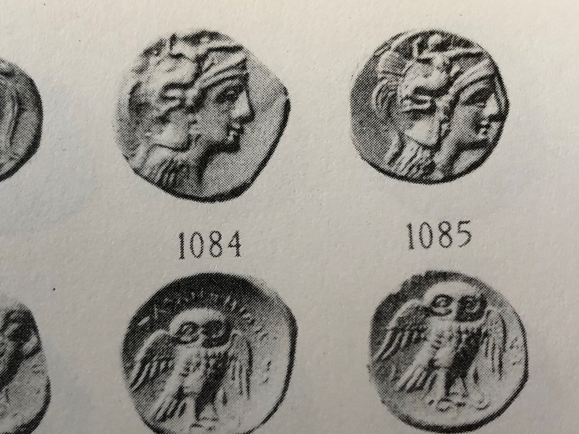 V1084.jpg