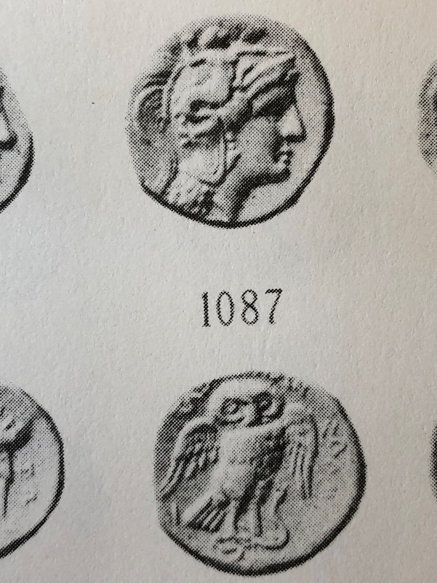 V1087.jpg