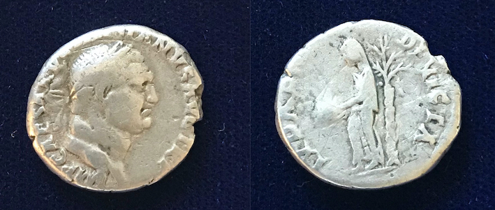 V1120 new copy.jpg