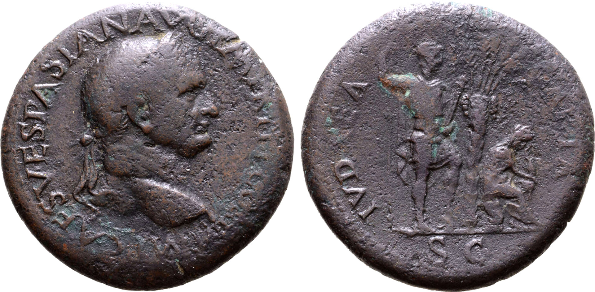 V1134best.jpg