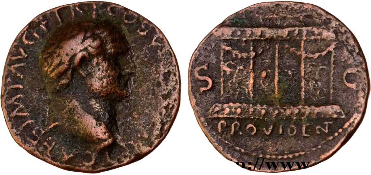 V1271.jpg