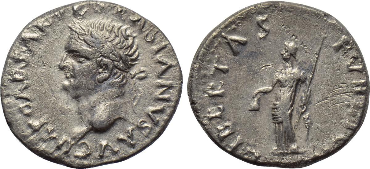 V1339.jpg