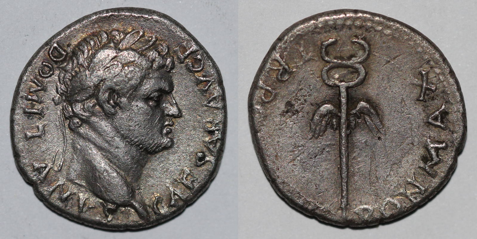 V1496lg.jpg