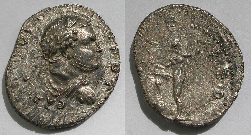V1561.jpg