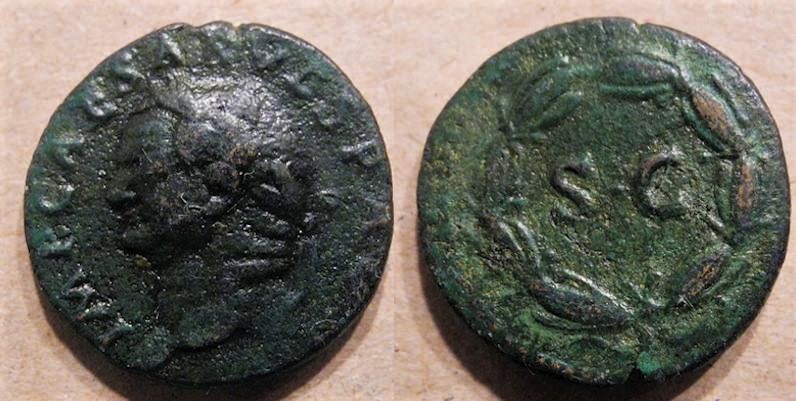 V1565.jpg