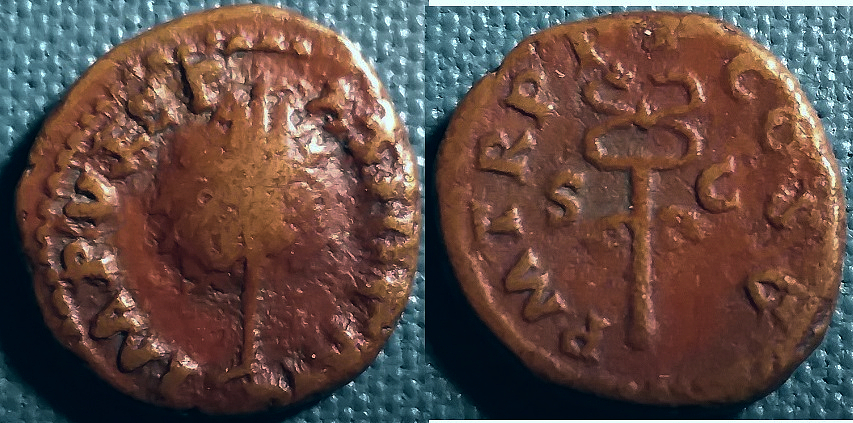 V736b.jpg