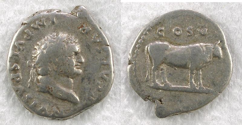 V858.jpg