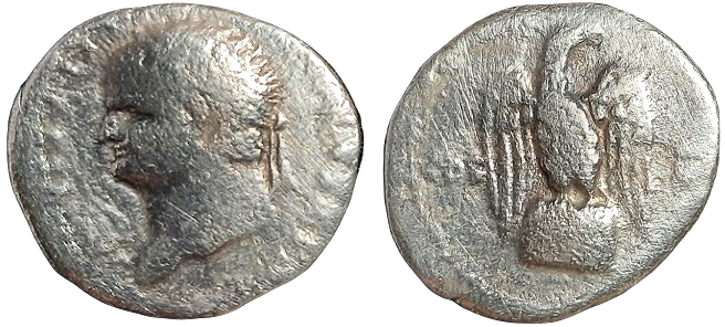 V871.jpg