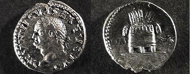 V981.JPG