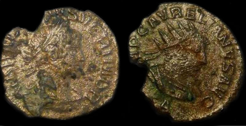 Vabalathus 1.jpg