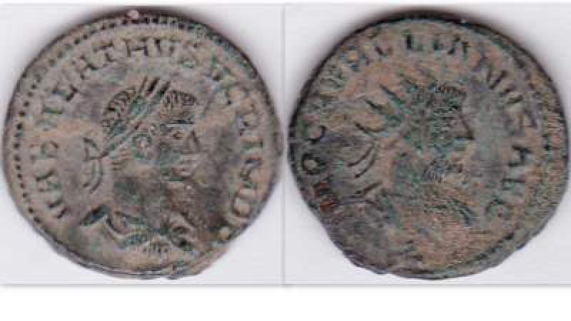 Vabalathus 2.jpg