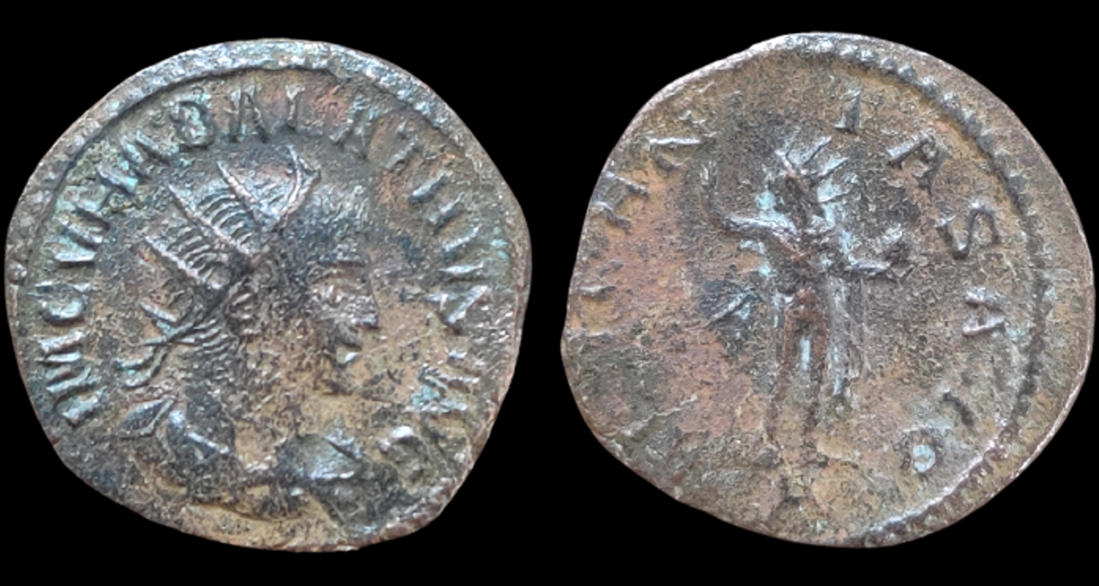 vabalathus aeternitas avg.png