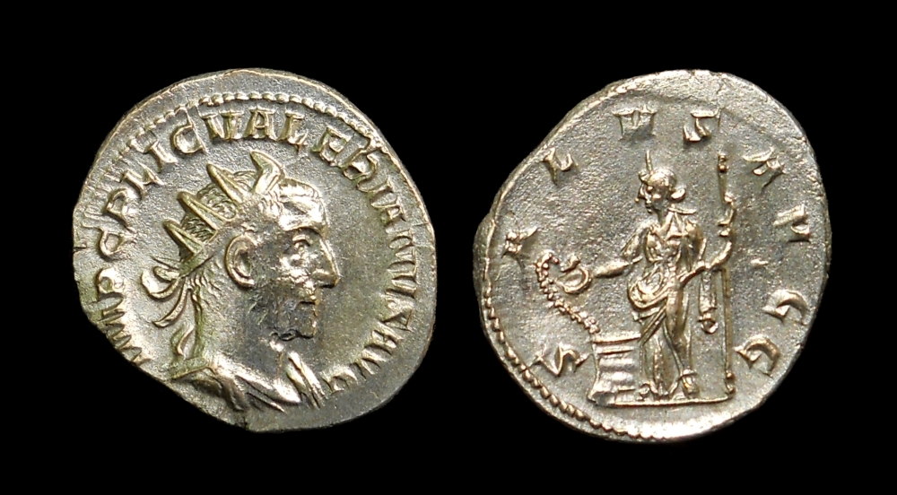 val salus k.jpg