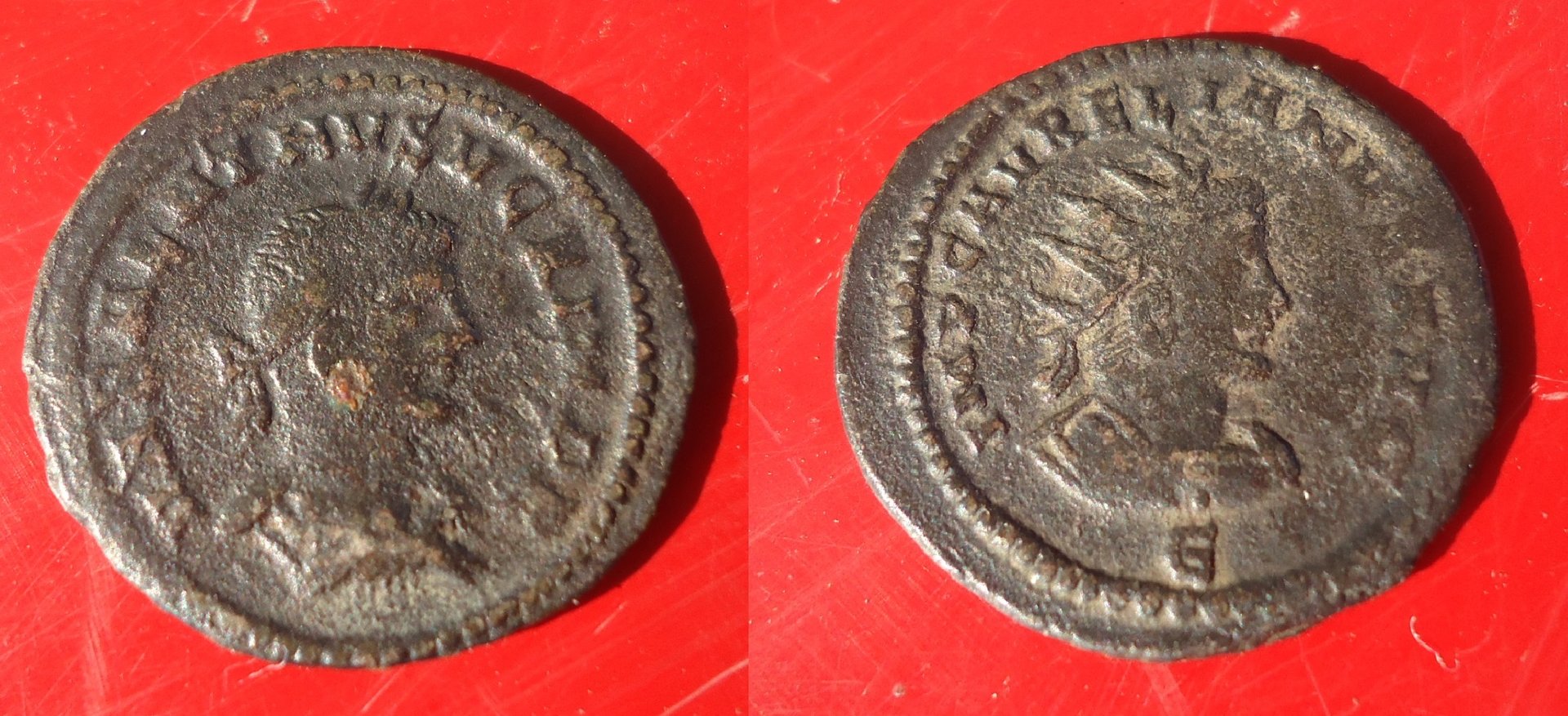 Valabalthus & Aurelian Ant. May 2018 (0).jpg
