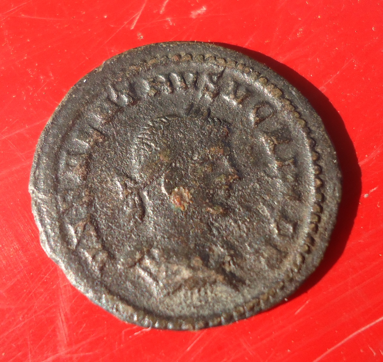 Valabalthus & Aurelian Ant. May 2018 (1).JPG