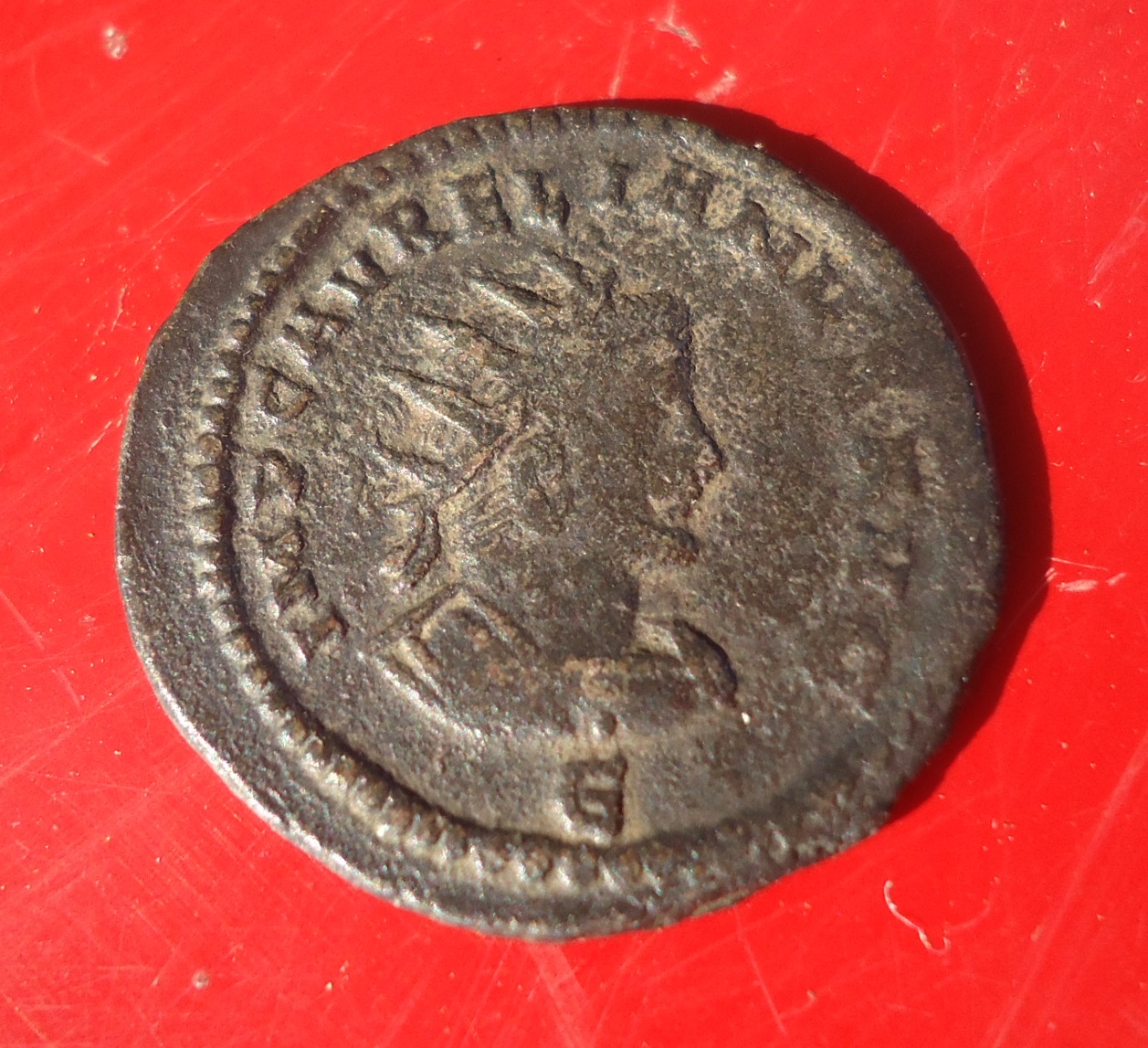 Valabalthus & Aurelian Ant. May 2018 (3).JPG