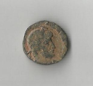 ValensAnt Ric12b    C3.jpg