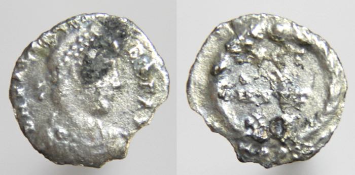 ValensSiliquaVOT.jpg