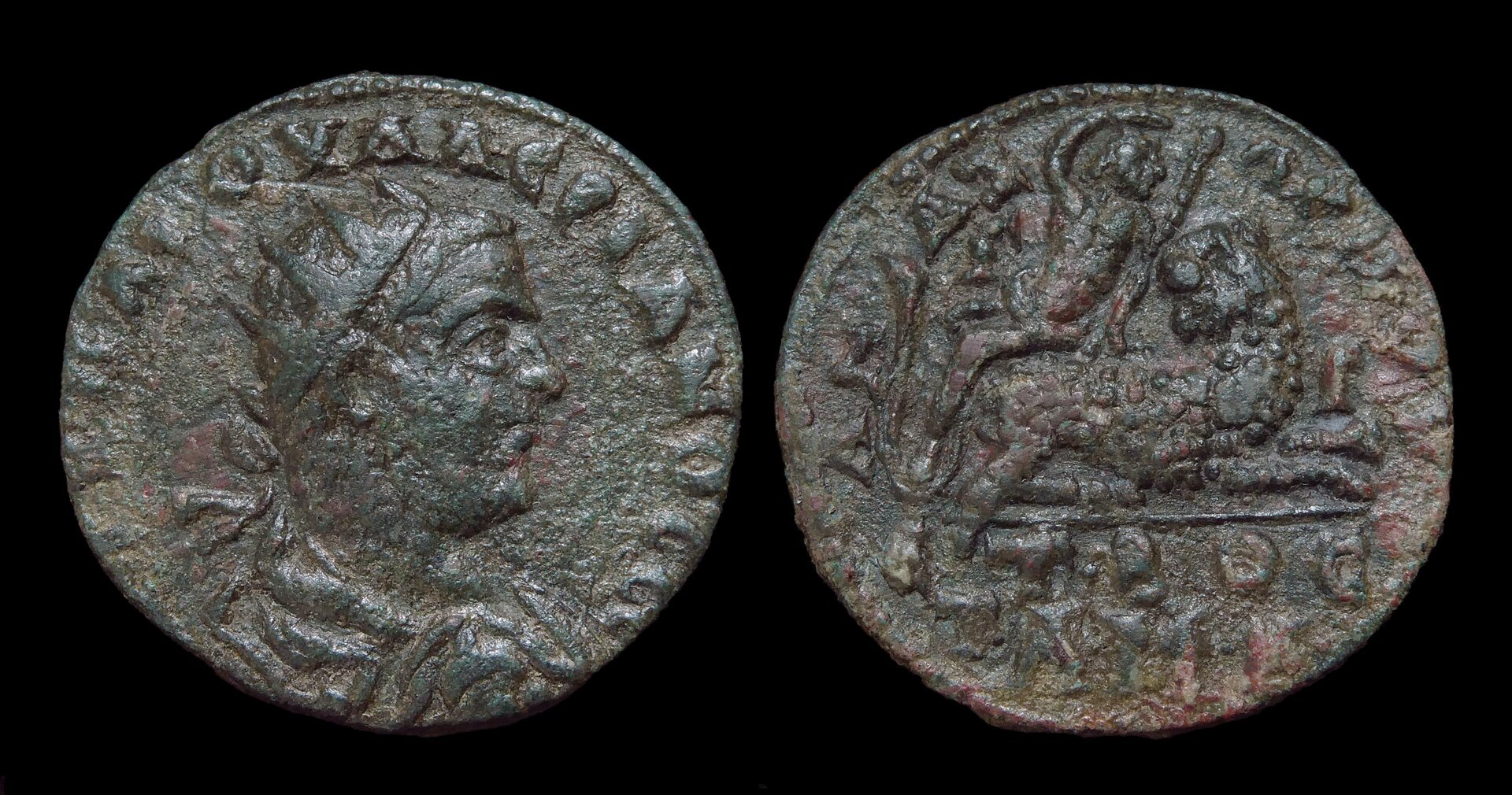 Valerian - Anazarbus AE28 Dionysos Panther 4311.JPG