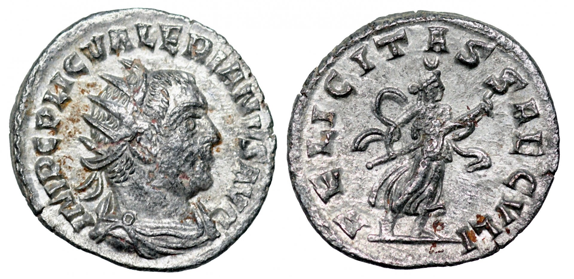 Valerian_Antioch_213.JPG