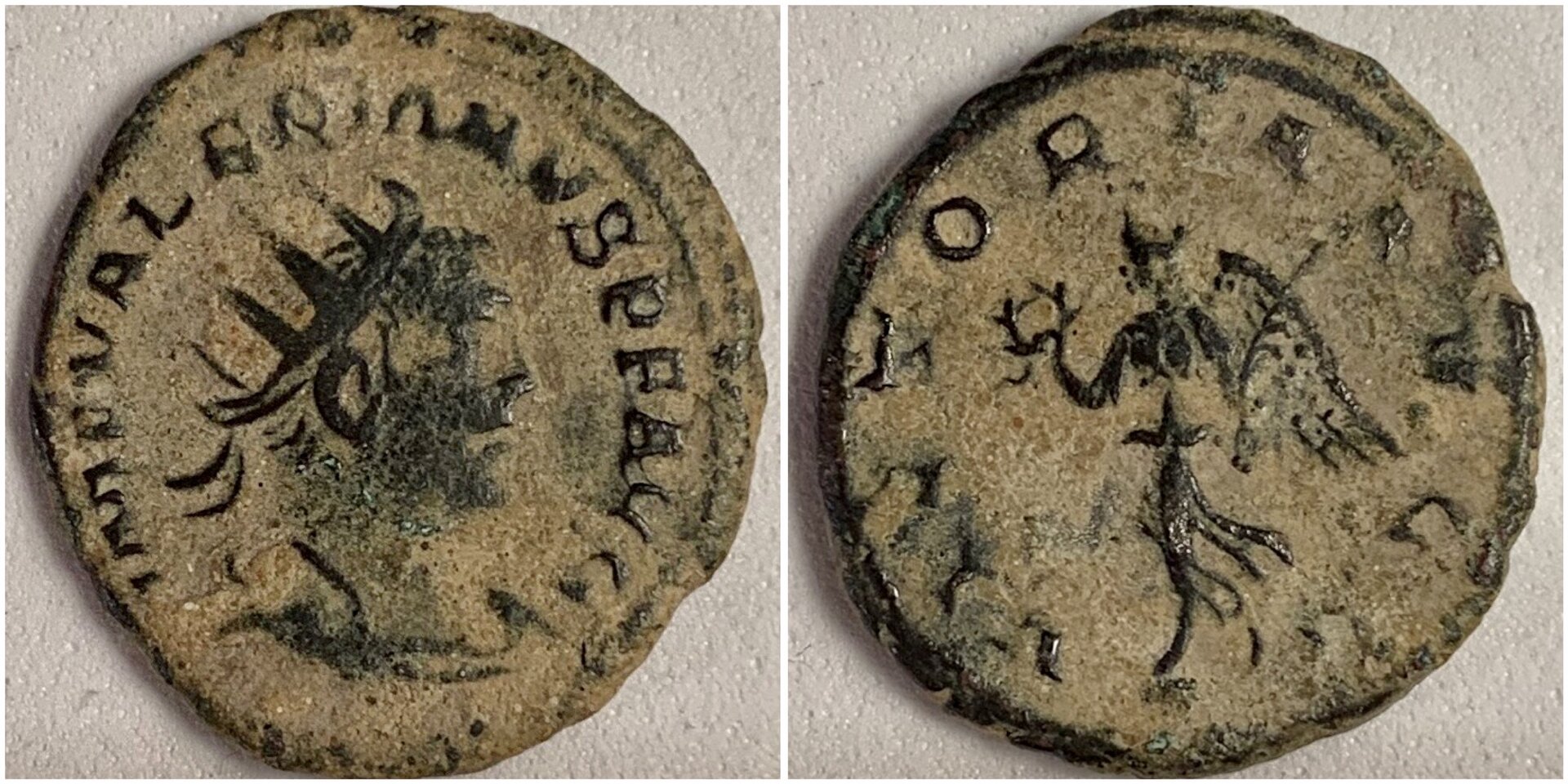 ValerianEasternFieldMintRIC288v.JPG