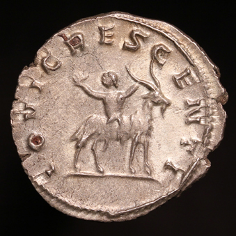 ValerianII339xR1.jpg