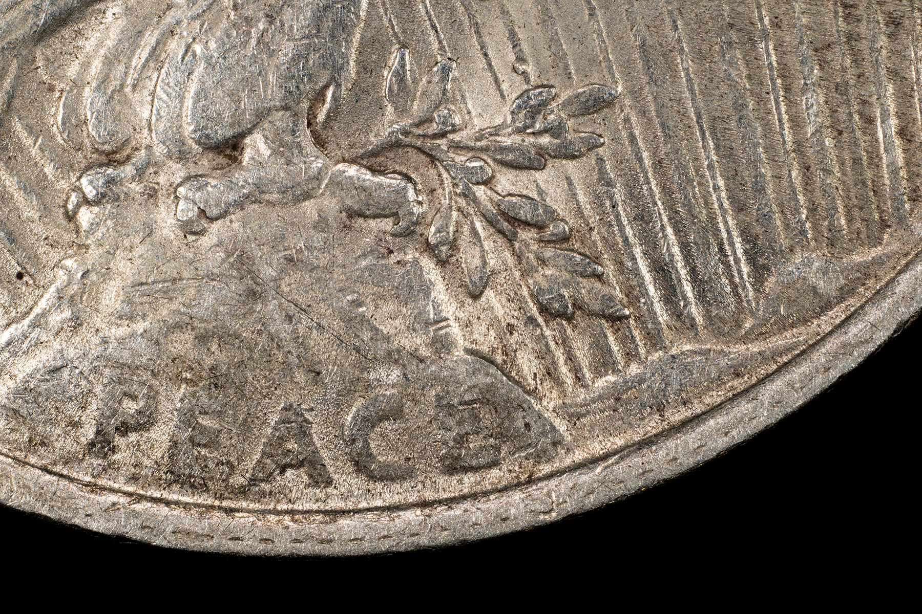 VAM-2DW-Reverse-Detail.jpg