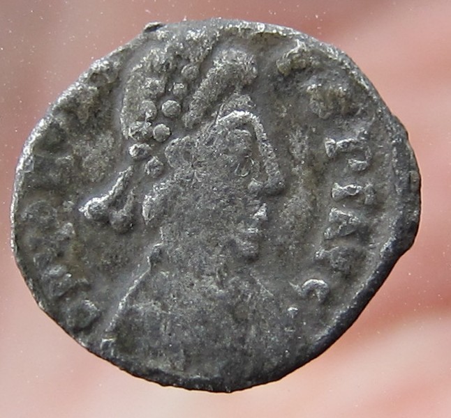 Vandal Siliqua- head.jpg