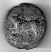 Vecchi 11001.jpg