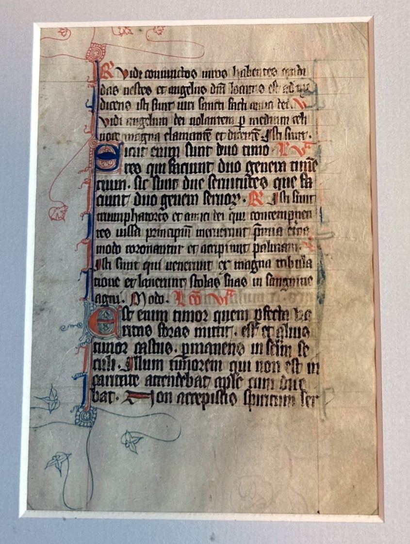 vellum.jpg