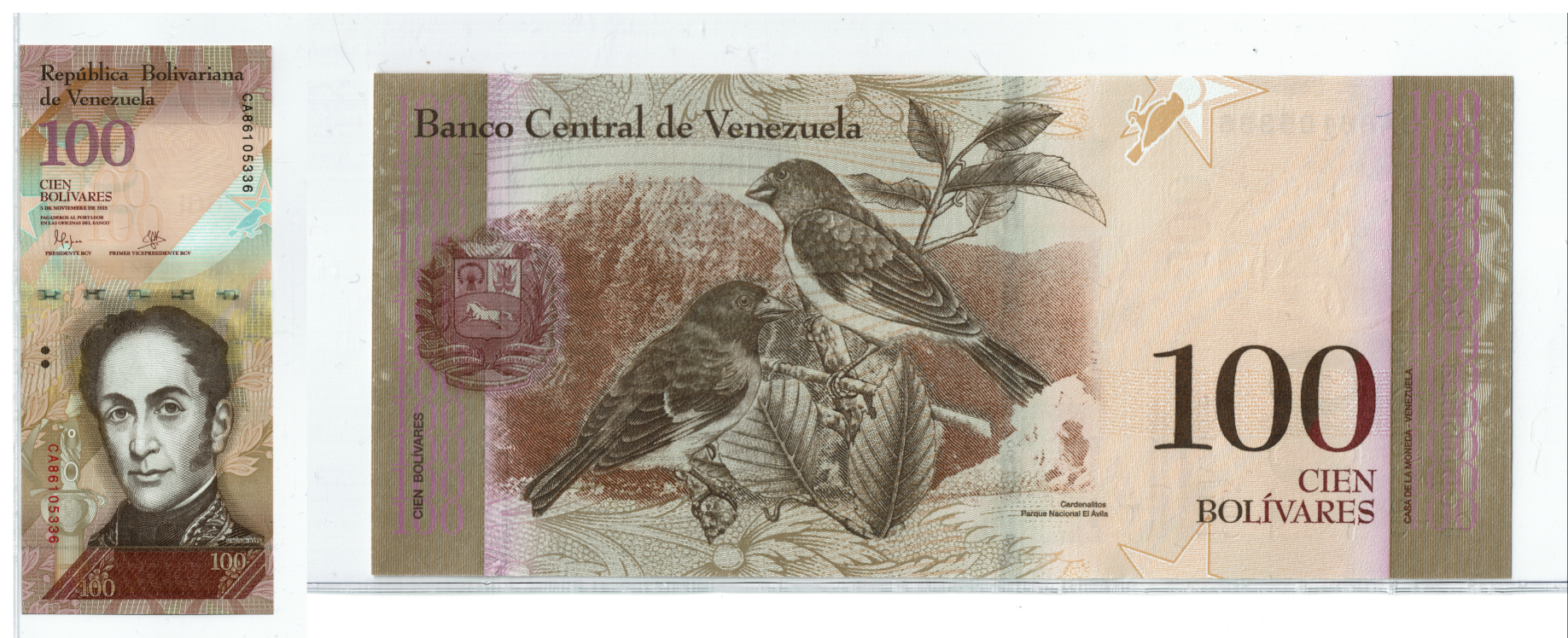 Venezuela 100 Bolivar Fuerte Combined.png