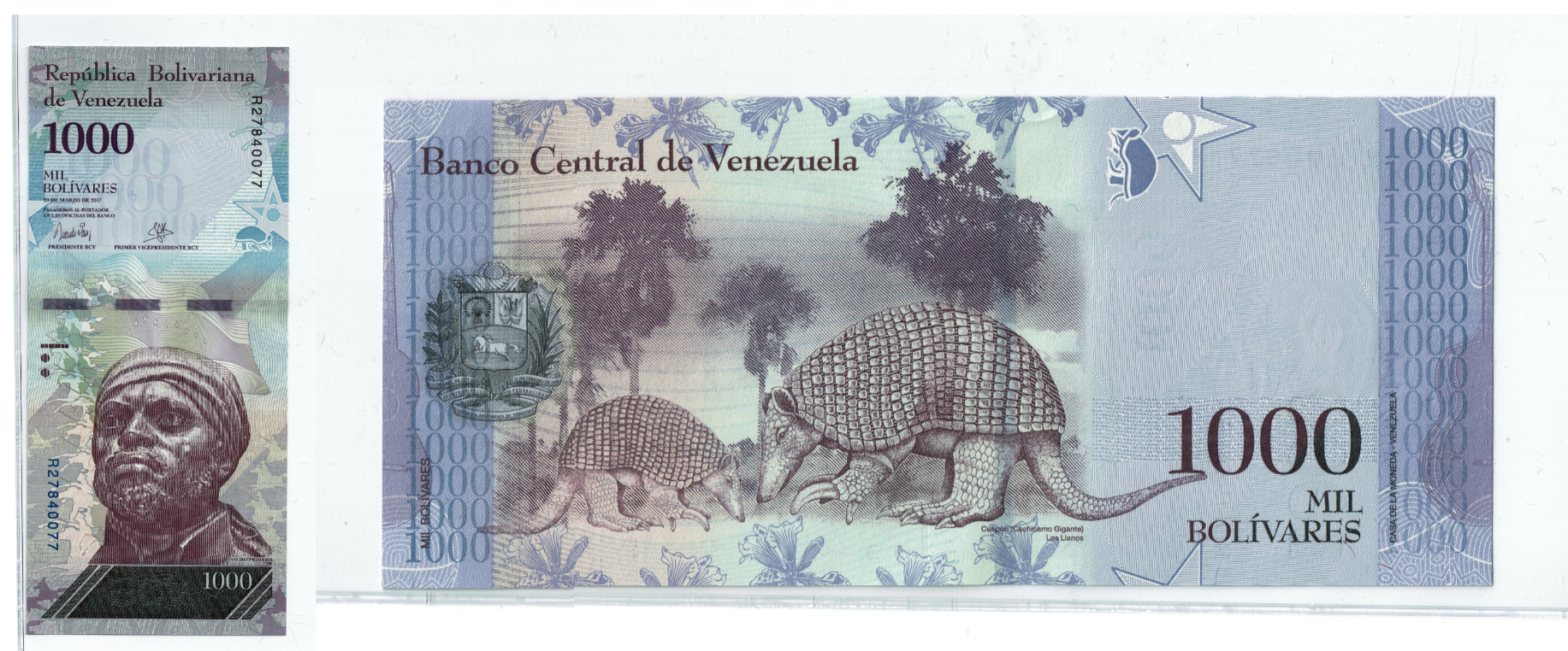 Venezuela 1000 Bolivar Fuerte Combined.png