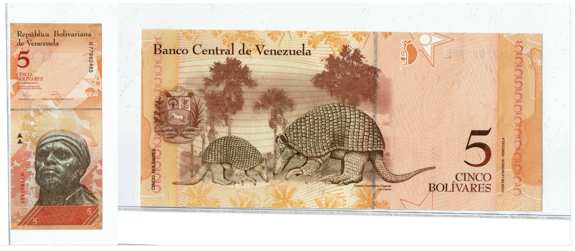 Venezuela 5 Bolivar Fuerte Combined.png