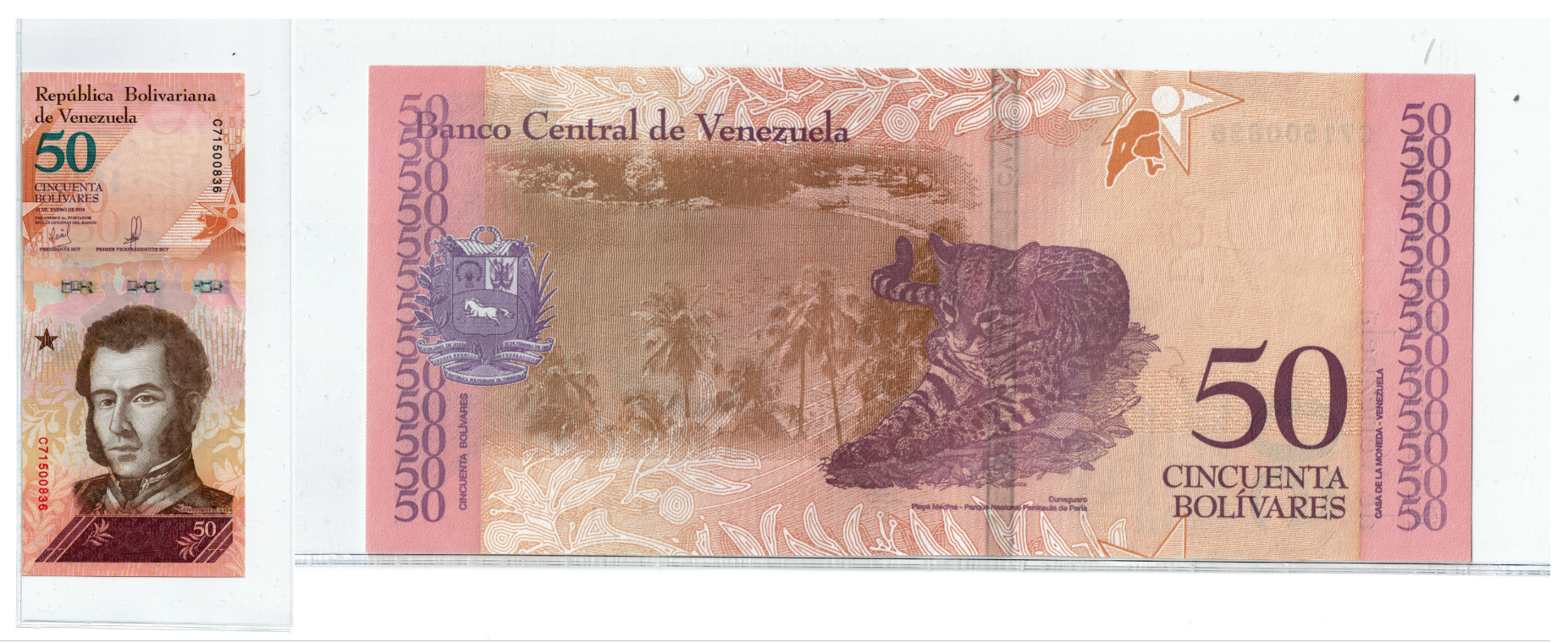 Venezuela 50 Bolivar Soberano Combined.png