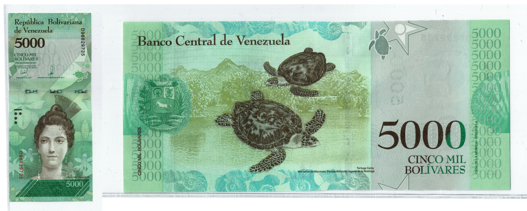 Venezuela 5000 Bolivar Fuerte Combined.png