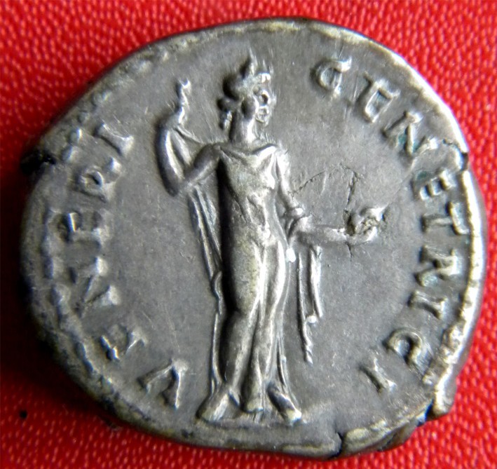 Best Venus on ancient coin | Coin Talk