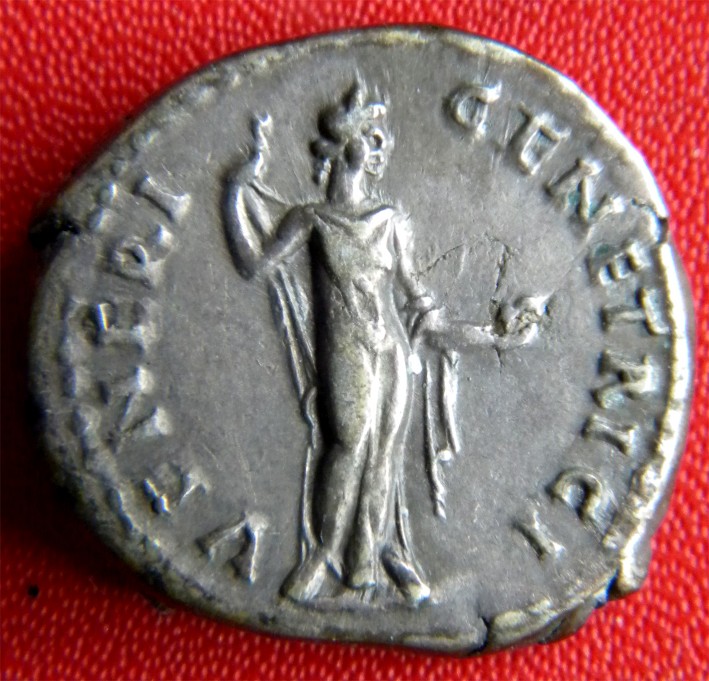 Venus best.jpg