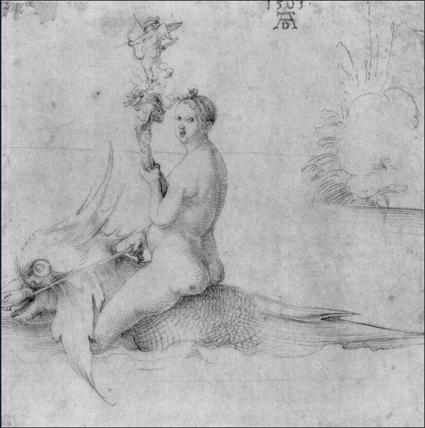 Venus on dolphin Durer.JPG