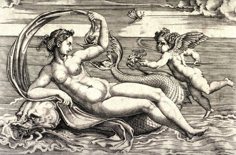 Venus on dolphin.jpg