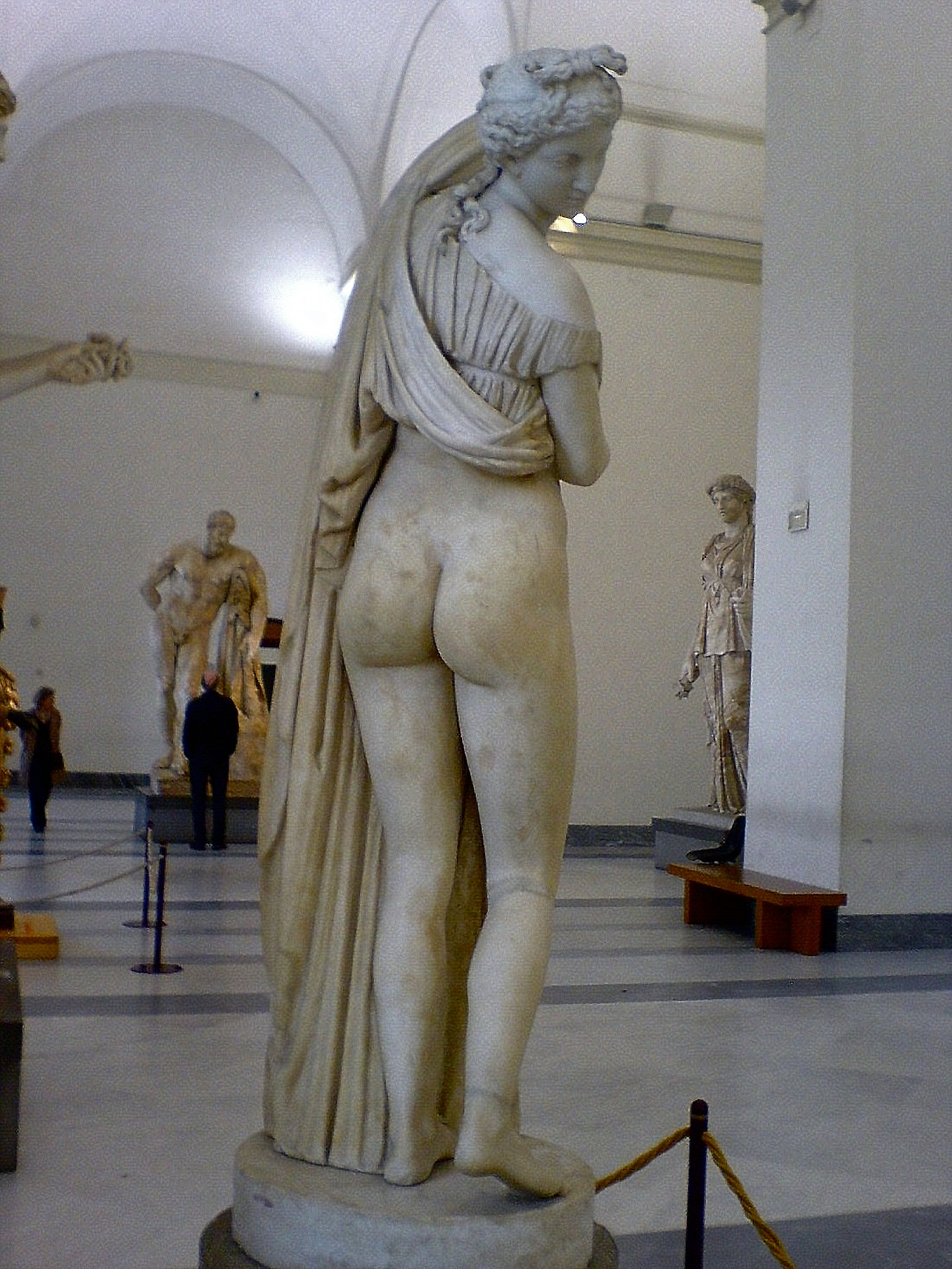 Venus_kallipygos03.jpg