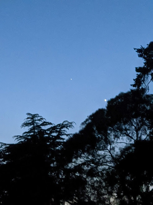 venus_mercury.jpg