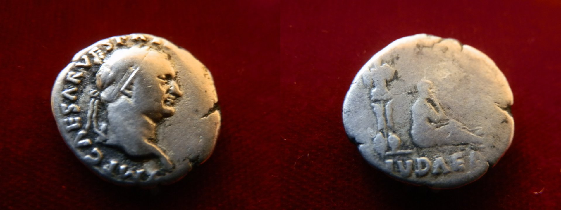 vepsasian ivdea.jpg