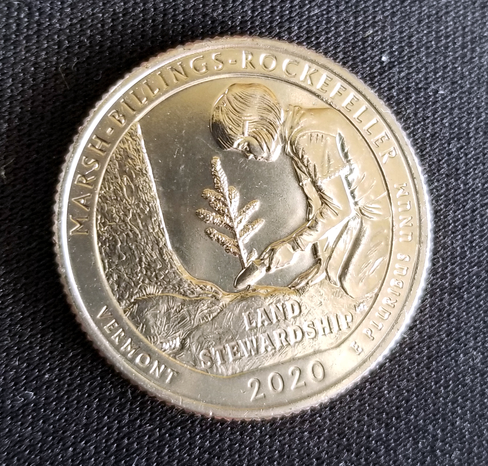 Vermont 2020 V75 W Reverse.jpg