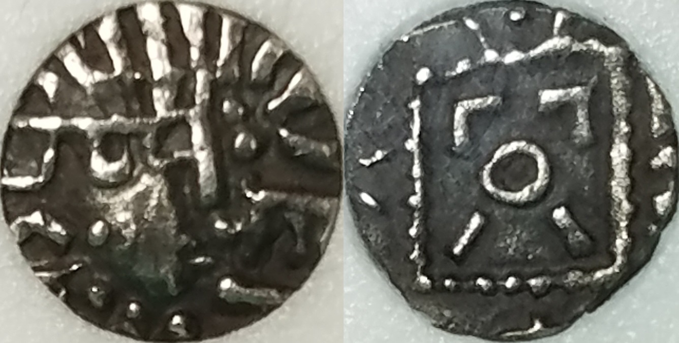 vernus-1a.jpg