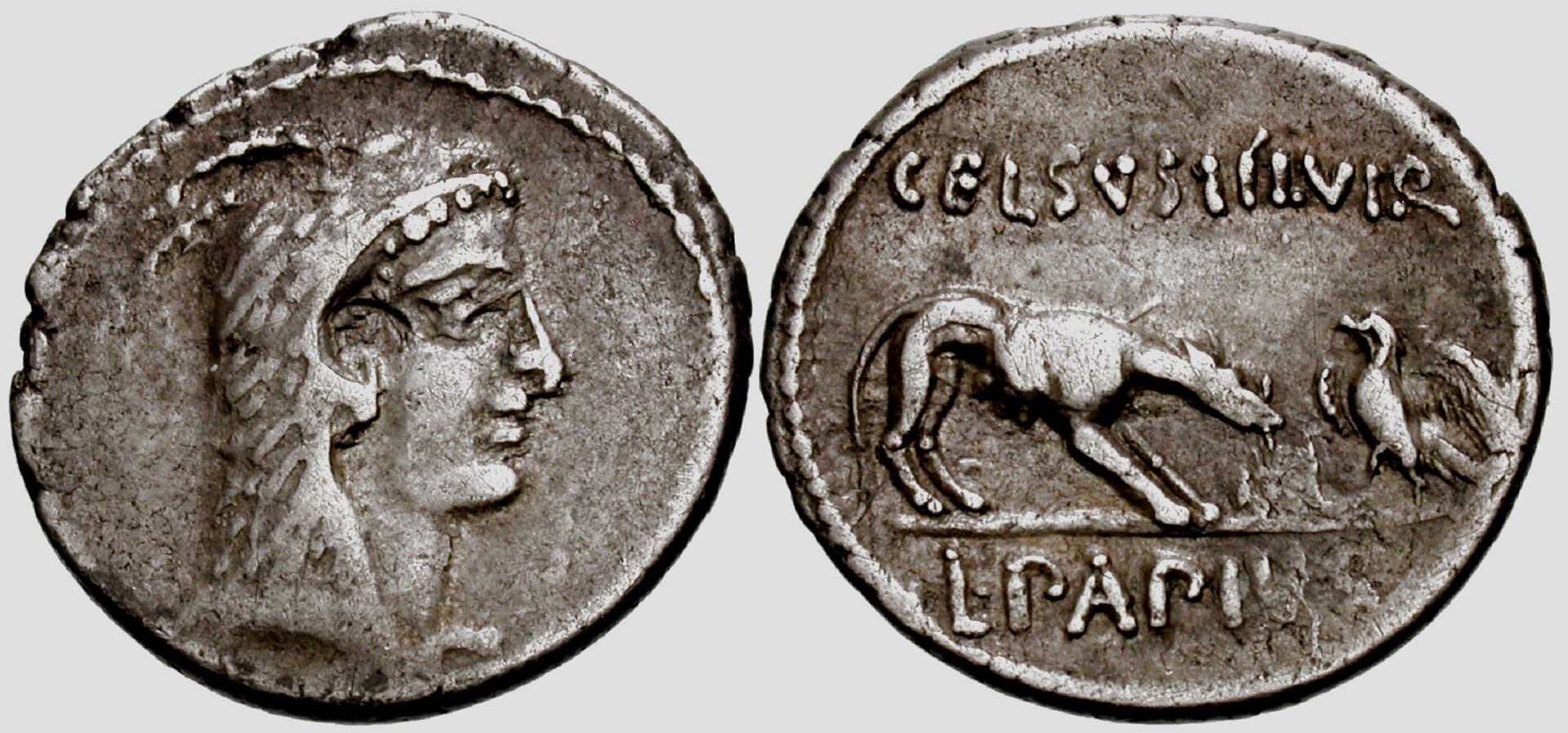 version 2 Papius Celsus (Juno Sospita - wolf and eagle) Crawford 472-1 jpg version.jpg