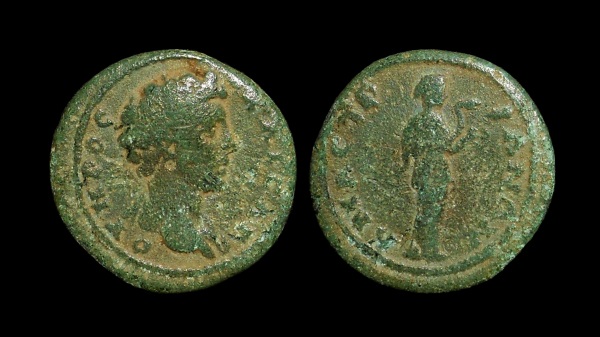 verus amastris 6.jpg