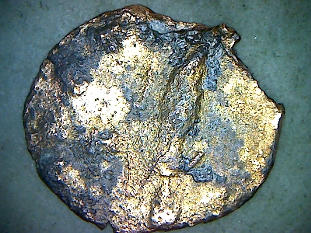 Very thin gold rev.jpg