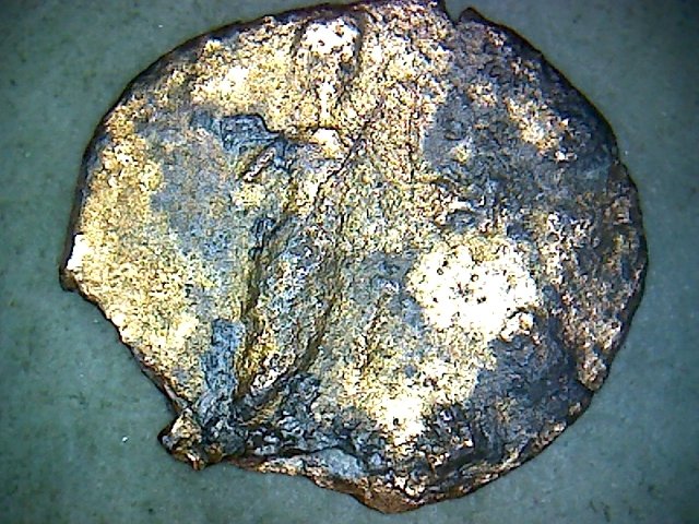 Very thin gold rev.jpg