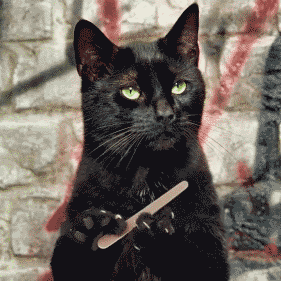 very_interesting[1].gif
